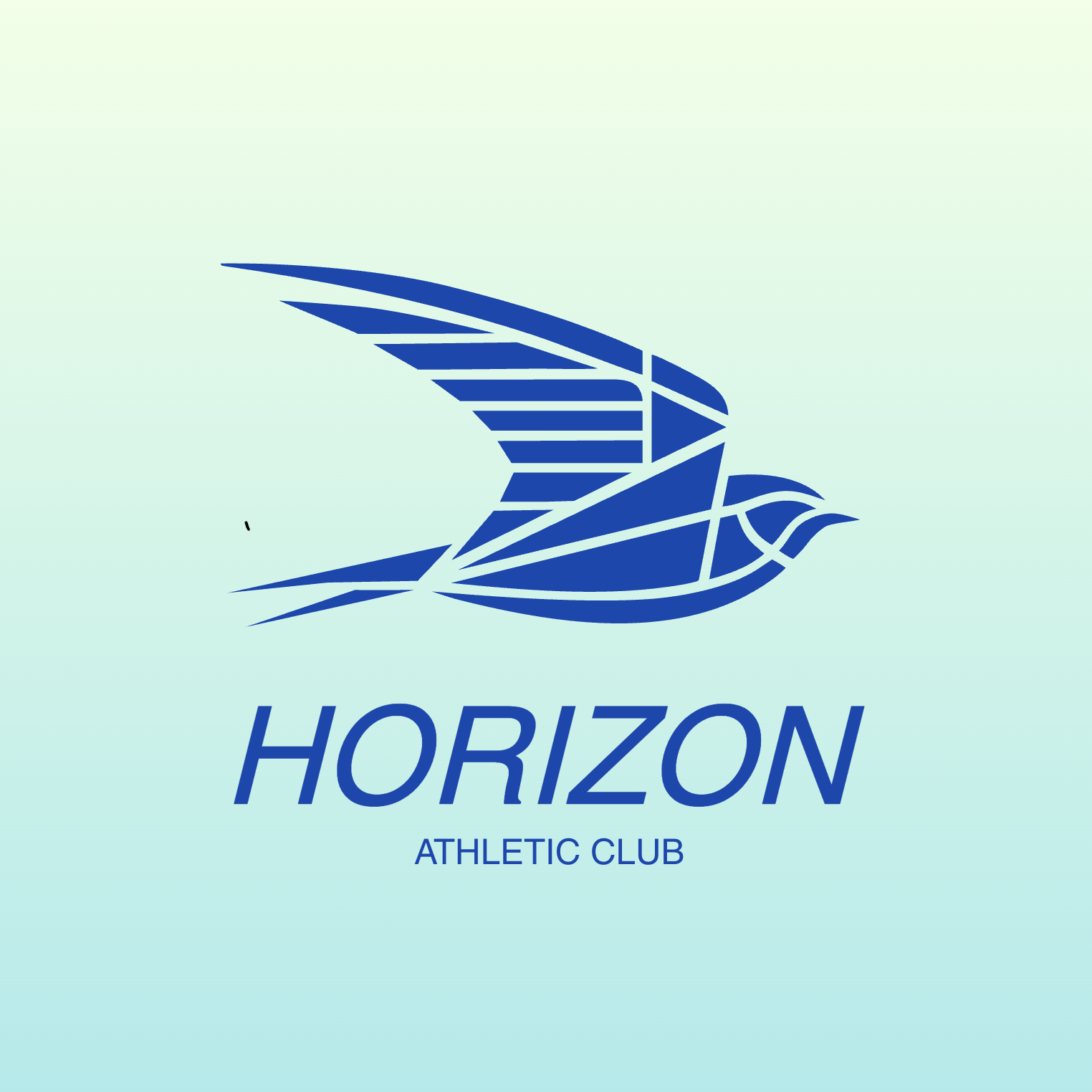 Classic Elegant Sports Logo
