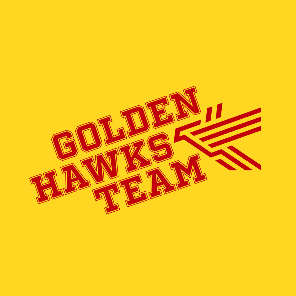 Edgy Colorful Sports Logo